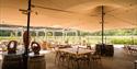 Oaken Grove Vineyard
