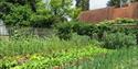 Kitchen Garden at Pashley Manor Gardens credit Kate Wilson