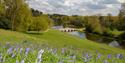 Painshill Landscape Garden