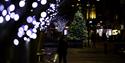 Christmas Tree and lights on Commercial Road in Portsmouth