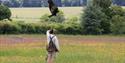 Hawk Conservancy Trust