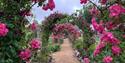 Picturesque Rose Tunnel at Houghton Lodge House and Gardens