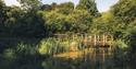 The Lake at Queen Elizabeth Country Park