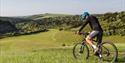 Mountain Biking at Queen Elizabeth Country Park