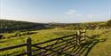 Countryside at Queen Elizabeth Country Park