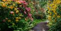 Sir Harold Hillier Gardens