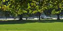 View of River Thames from Higginson Park.