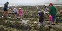 Rock pooling at Birling Gap,