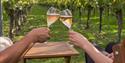 Roebuck Estate Vineyard in West Sussex