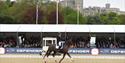 Royal Windsor Horse Show dressage