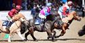 Royal Windsor Horse Show Shetland Pony Grand National