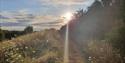Sunny Day at Dorney Wetlands, Slough, Berkshire - image credit Becca_zimbali