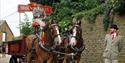 Shire horses at Hook Norton Brewery