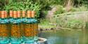 Silent Pool Distillers