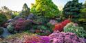 Leonardslee Gardens