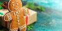 Gingerbread propped up with a present, Christmas at Tapnell Farm Park, What's On