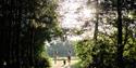 Mum and daughter with dog running through the grounds of The Garlic Farm, Newchurch, self-catering, glamping, holiday cottages, country, Isle of Wight