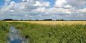The Romney Marsh, Kent