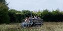 Hawk Conservancy Trust