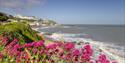 View of Ventnor Beach from cliff, Isle of Wight, Things to Do