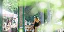Isle of Wight, Things to Do, Ventnor Fringe Festival, Ventnor