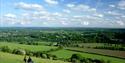 Box Hill,