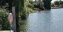 View of the Thames from Benson Waterfront
