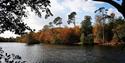 View over the lake at Black Park on the edge of Slough - image credit Becca_zimbali