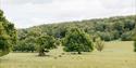 View over the open parkland at West Dean Gardens, West Sussex