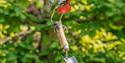 Art in the Garden | Robin on a trowel