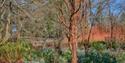 Sir Harold Hillier Gardens