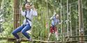 Go Ape Moors Valley