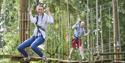 Go Ape Moors Valley