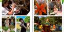 Chipstead Village Flower Show and Fair