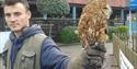 Birds of Prey at Port Solent