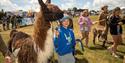 Main Ring at the Royal Isle of Wight County Show - What's On, Isle of Wight