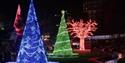 Bournemouth Christmas Tree Wonderland