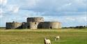 Camber Castle