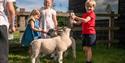 Hogshaw Farm & Wildlife Park