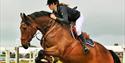 Horse jumping at the Royal Isle of Wight County Show - What's On, Isle of Wight