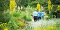 The Savill Garden