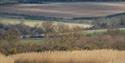 Visit Arundel