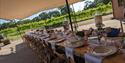 Oaken Grove Vineyard