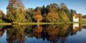 The Ruined Abbey at Painshill