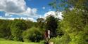 The Water Wheel  at Painshill