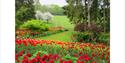 Tulips and grounds at Pashley Manor Gardens, Wadhurst