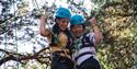 New Forest Activities Team Building
