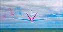 Red Arrows Eastbourne - picture from 2024 event