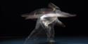 Image courtesy of dfphotography. Feast a triple Bill. Image shows a blur of movement.