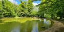 A pond in Stanmer Park shows the water in the foreground with trees behind.